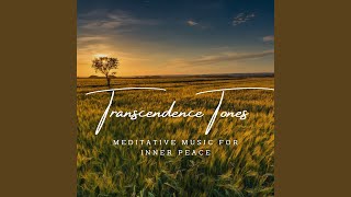 Harmonic Meditation Pathway