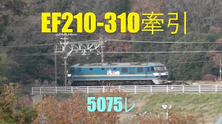 EF210-310　5075レ