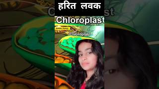 Download Lagu हरित लवक || Chloroplast In Biology #shorts #viral #biology MP3