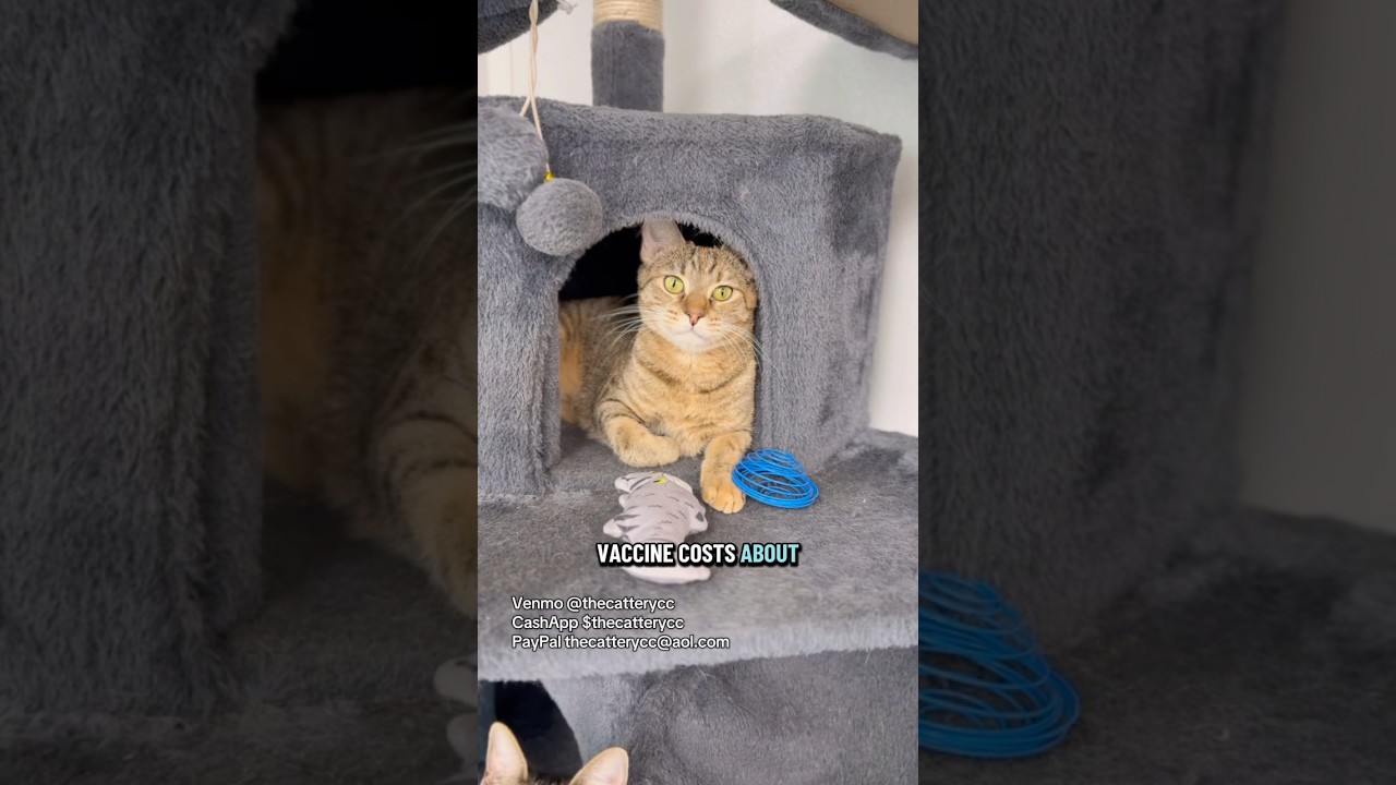 Вакцины спасают жизни!