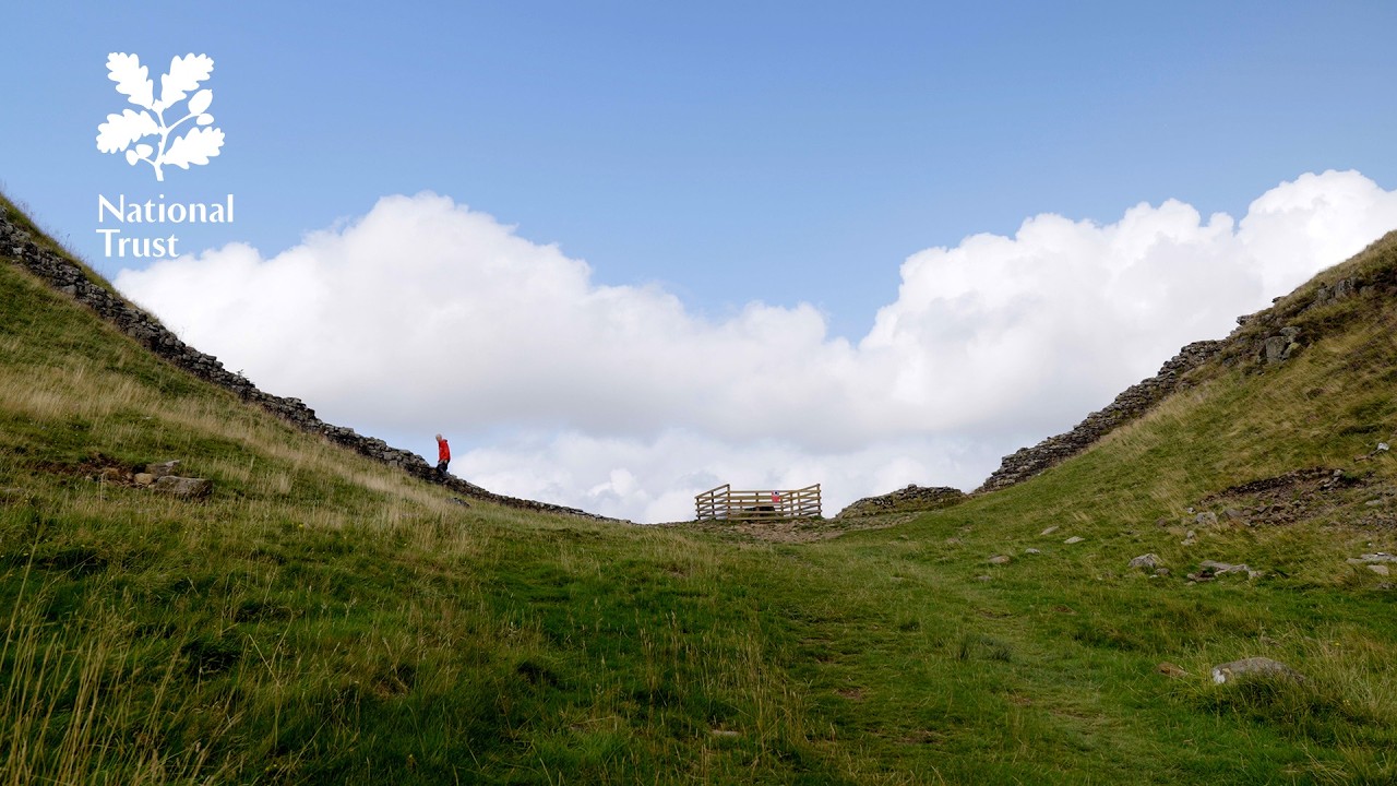 Remembering Sycamore Gap - the famous ‘Robin Hood’ tree that once stood tall beside Hadrian’s Wall.