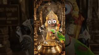 JAY JAGANNATH SWAMIJI KI JAY 🙏🏻🙏🏻🕉️🕉️🚩🚩