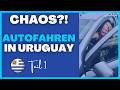 Willkommen auf Uruguays Straßen 🇺🇾😂 Das musst du wissen | Teil 1