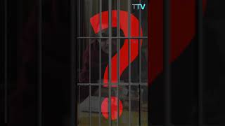 Arbitrary Detention and Arrest of Tibetans: China’s Convenient Tool