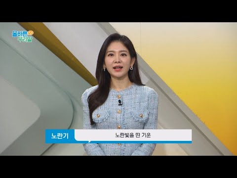 [올바른 우리말] &amp;#39;노란끼&amp;#39;가 맞을까, &amp;#39;노란기&amp;#39;가 맞을까?