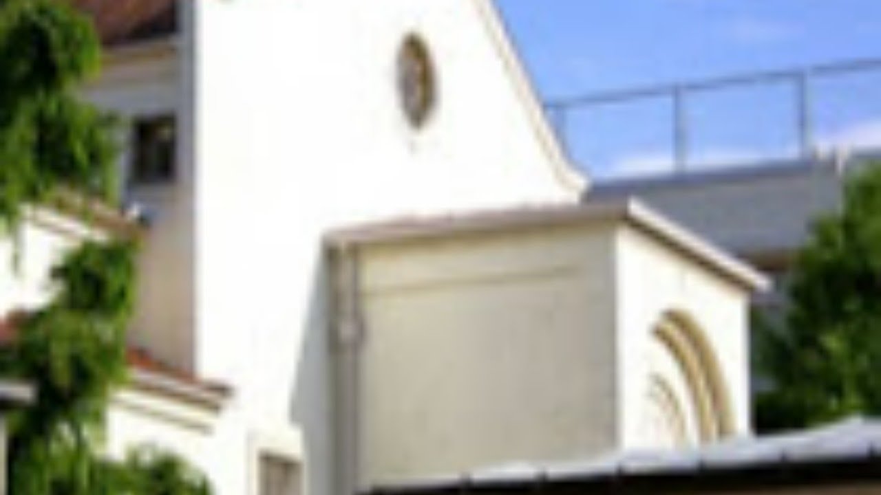 2026/02/22 09:30　主日ミサ配信・カトリック高円寺教会【四旬節第1主日】