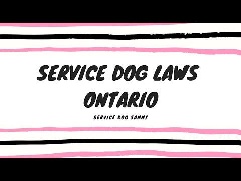 service-dog-laws-ontario