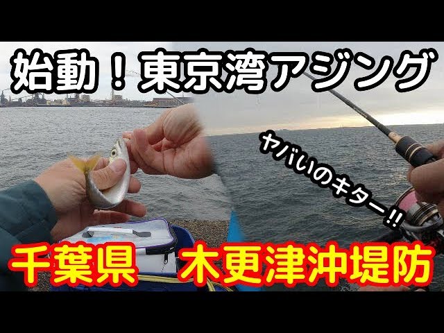 東京湾アジング始動 木更津で試し釣り アジ サバ メバル カサゴ ワカシ色々釣れたよ Youtube 東京湾アジング始動 木更津で試し釣り アジ サバ メバル カサゴ ワカシ色々釣れたよ Youtube