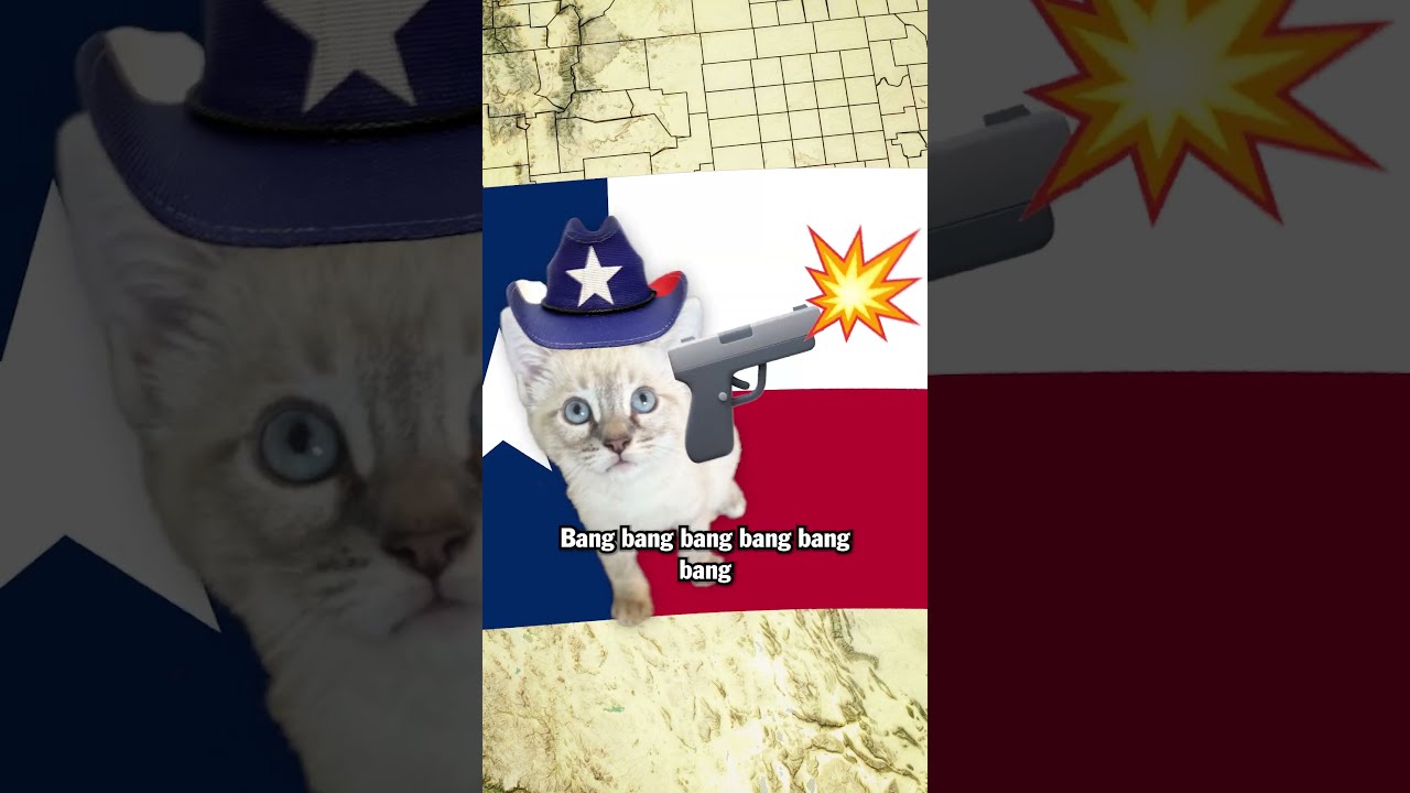 Texas Cat says what...