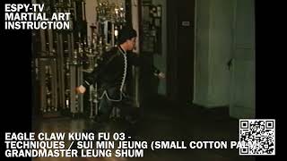 EAGLE CLAW KUNG FU 03 - TECHNIQUES / SUI MIN JEUNG (SMALL COTTON PALM) GM SHUM