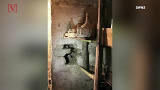 Mummified Cat Found In House In Transylvania Set To Fetch Around 1,300 At Auction