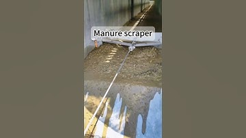 Manure scraper