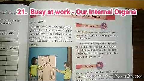 std-5th l Sub-Evs-1| 21. Busy at work-  Our Internal Organs| Part-3