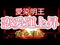 愛の炎の力 護摩祈祷 愛染明王
