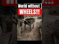 A World Without Wheels (Part 2) 🤯 Alternate Evolution Explained #shorts
