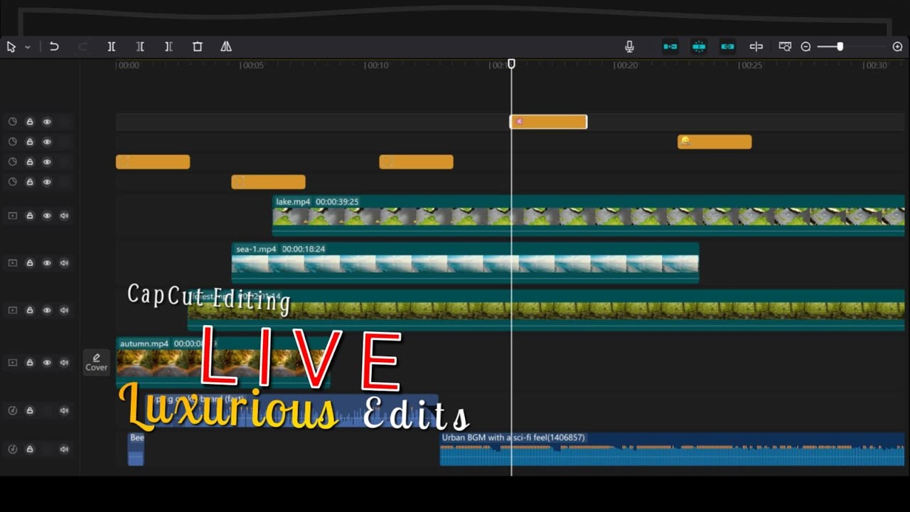 Capcut Live Editing Basic || Luxurious Edits