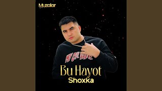 Bu Hayot - Shoxka