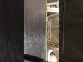 耳かき動画(๑˃̵ᴗ˂̵)是非見てね！