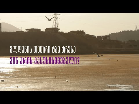 რატომ შრება გლდანის თეთრი ტბა