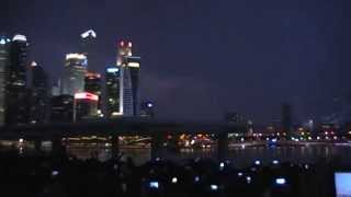 20150809 新加坡建国50周年庆典 滨海湾民众现场 20
