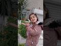 يا ورد ياوردة البستان لاريسا  
