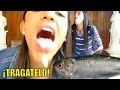 CACHETADAS con SARDINAS! | Paula Casanova