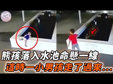 2歲男孩獨自跑進工廠玩耍，不慎落入蓄水池命懸一線，監控拍下一幕令人揪心…#暖心  #正能量 #淚目 #生活 #溫暖 #社會新聞 #感人 #感動 #暖心時刻 #感人一幕 #監控下的一幕