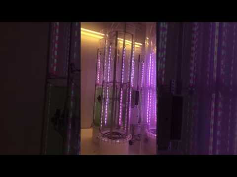 Muti Wavelength Dimming Led Growing System For Spirulina Production 