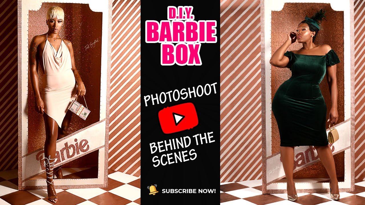 How I made this Barbie Box out of a Fridge Box for Photo Shoot