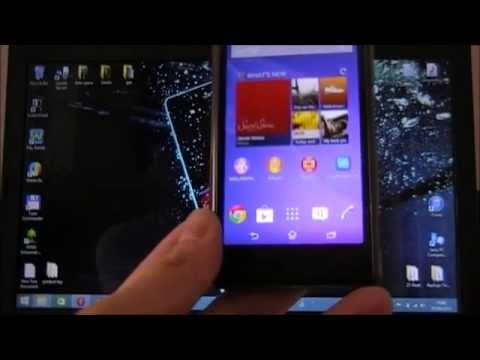 Android Developer Options on Android Phones