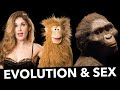 Millions of years in the making how evolution sculpted human morality  natalia reagan