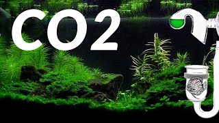 Aquarium CO2  Verwen je aquariumplanten  Complete CO2 uitleg // Aquarium Sunshine's Valley