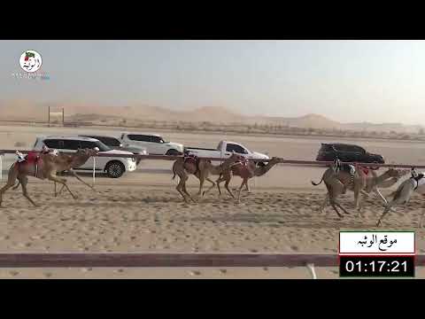 الشوط 15 الشاهينيه ل الدهيمي غافان الخييلي 3 13 شارة الديوان 2022 9 16 حقايق الخزنة