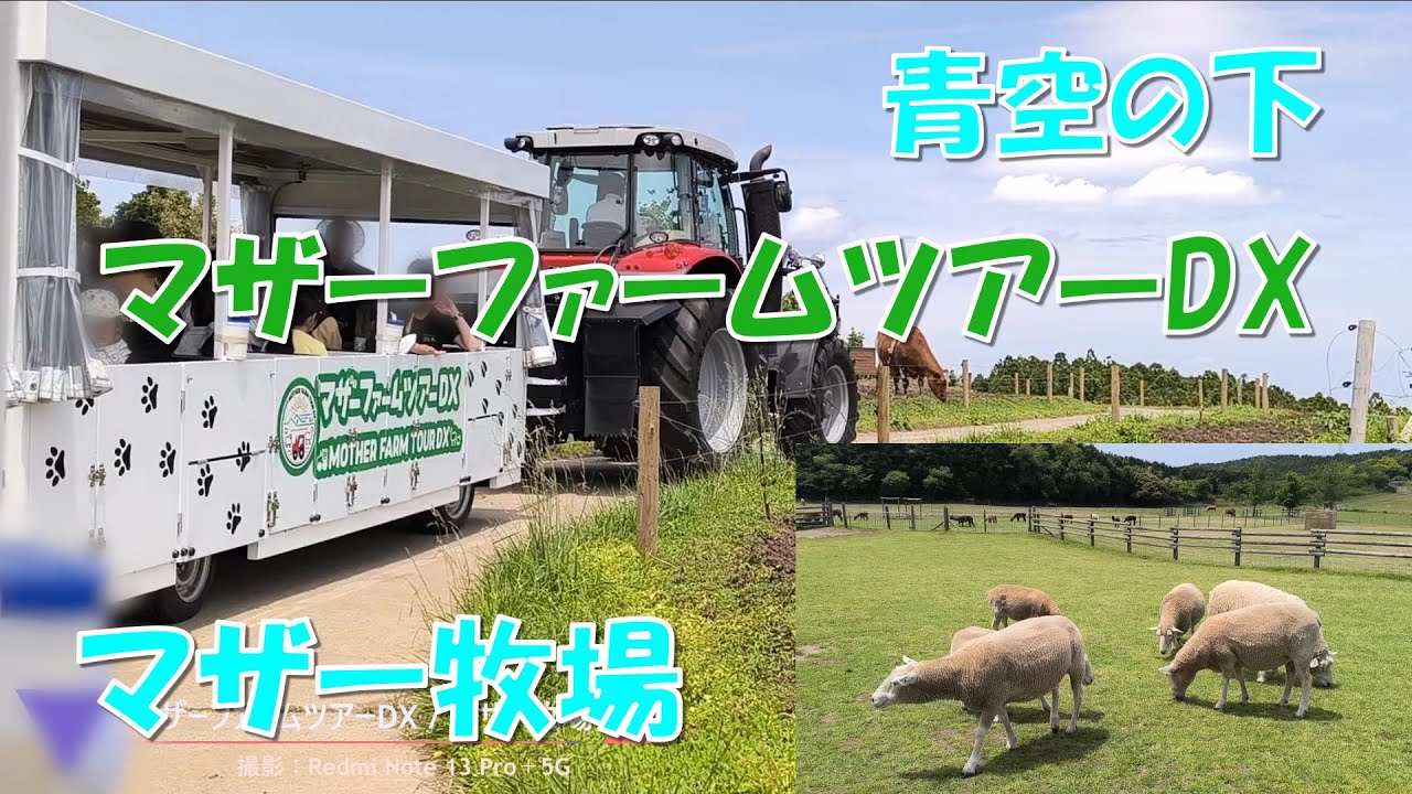 マザー牧場】マザーファームツアーDX - YouTube