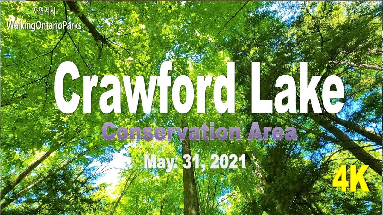 [4K] Crawford Lake Conservation Area, #1 [2021.05.31] - YouTube