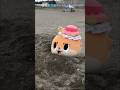 忍法身代わりの術ですっ☆