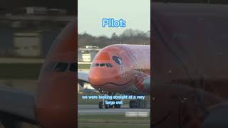 Pilot Has Stare Down With Owl