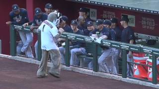 Arizona Diamondbacks Mascot Baxter the Bobcat – The Emblem Source