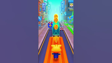 CAT RUNNING VEDEO SCORE 866