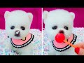 Tik Tok Chó Phốc Sóc Mini | Funny and Cute Pomeranian Videos #13