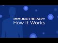 Immunotherapy how it works
