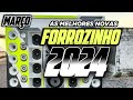 FORROZINHO 2024 REPERTÓRIO ATUALIZADO 2024 CD NOVO 2024 SELEÇÃO 2024 #nordeste #piseiro #forrozin