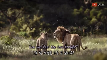 라이온 킹 2019 OST🦁 Can You Feel the Love Tonight -Beyoncé비욘세/Donald Glover도날드 글로버/가사해석/발음