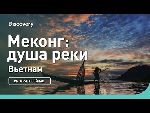 Видео: Меконг: душа реки | Вьетнам | Discovery