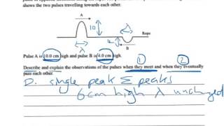 2010 Waves Q1 (Level 2 NCEA)