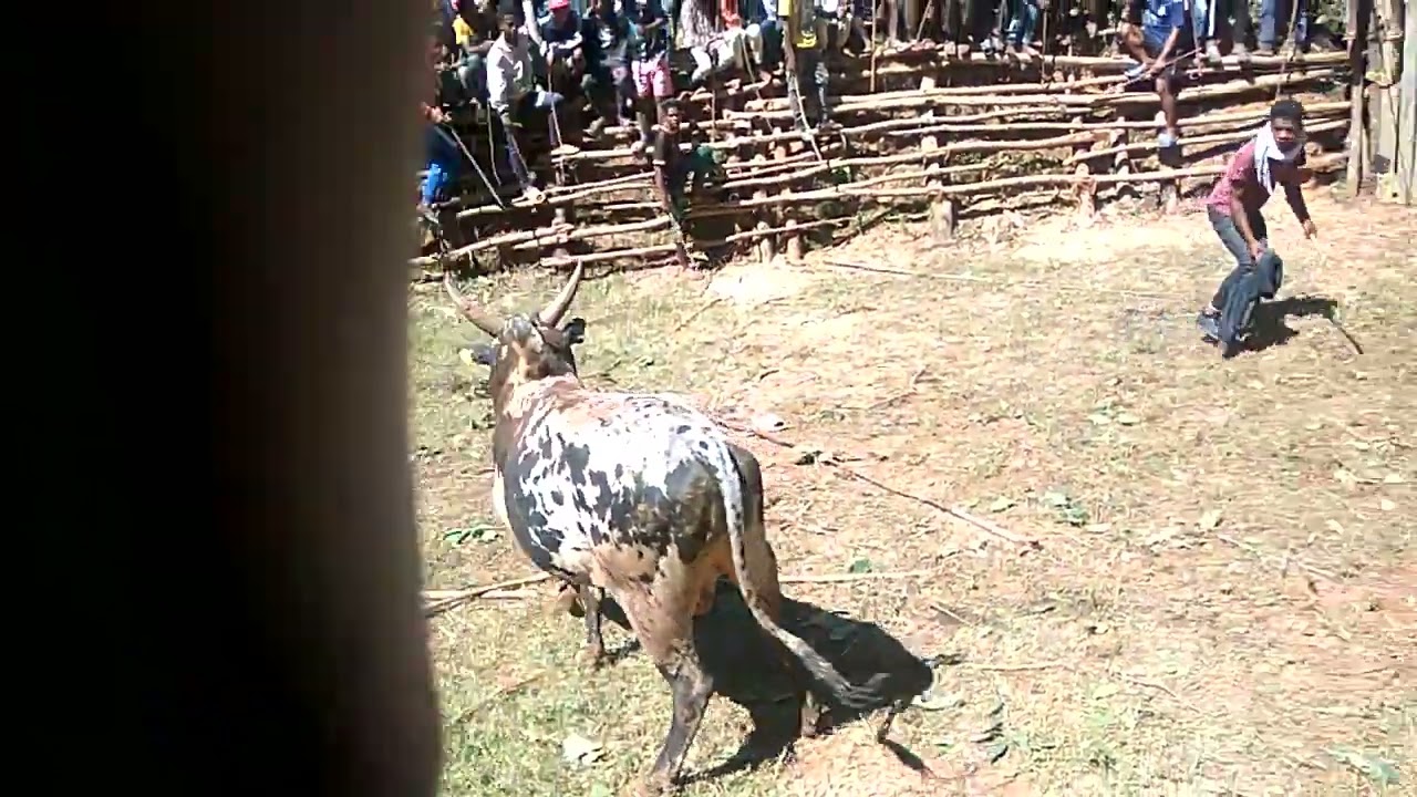 savika soabelogna 20 Avril 2024