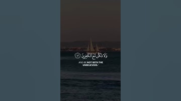 سورة هود / القارئ: عبدالله الموسى. 🩶