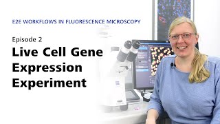 E2E Fluorescence Microscopy #2: Live Cell Gene Expression Experiment