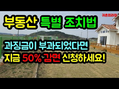 부동산특별조치법 - 과징금감면제도 - 50%만 납부하세요! [귀촌피라미]