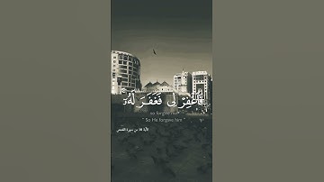 قرآن كريم  | حالات واتس اب دينية | قال رب انى ظلمت نفسى - ريان المحيسنى #قران